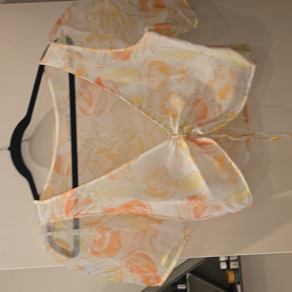 Urban Outfitters Cropped Sheer Cinched Floral Print Puff Sleeve Blouse